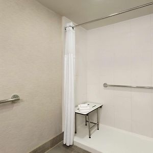 King Room Mobility Accessible Shower